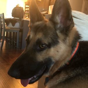 Meet your Posher, Ryan